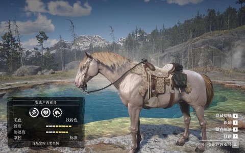 荒野大镖客有什么马