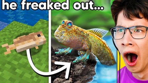 我的世界热带鱼有什么用