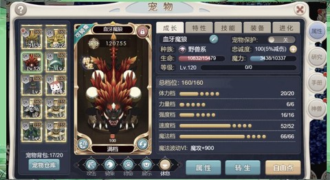 魔域军团战宠怎么用